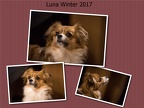 Winter 2017