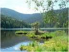 Kleiner Arbersee