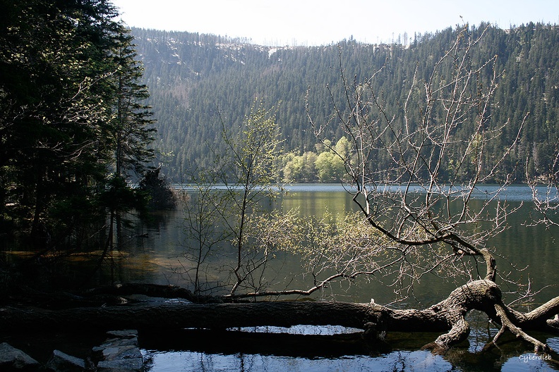 Cerne jezero ( Schwarzsee ).jpg