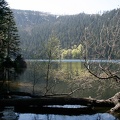 Cerne jezero ( Schwarzsee )
