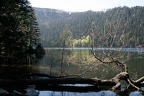 Cerne jezero ( Schwarzsee )