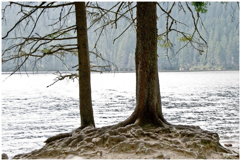 Der mystische Teufelssee.jpg
