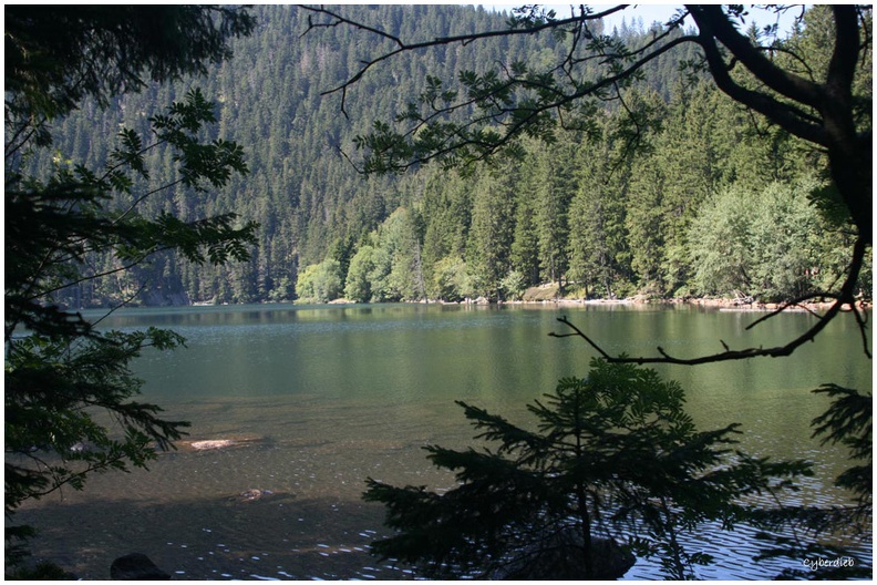 Schwarzsee.jpg