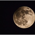 Mond