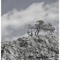 Natura