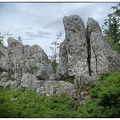 Am Pfahl