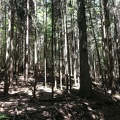 Labyrinth
