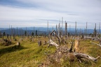 Nationalpark Bayerischer Wald