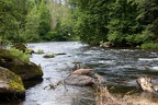 Wilde Wasser