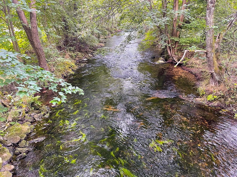 Kleiner Weißer Regen.jpg
