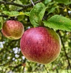 Herbstzeit